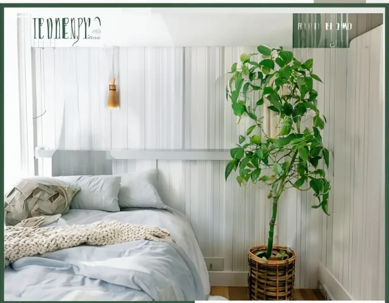 5 Best Plants for Your Bedroom: